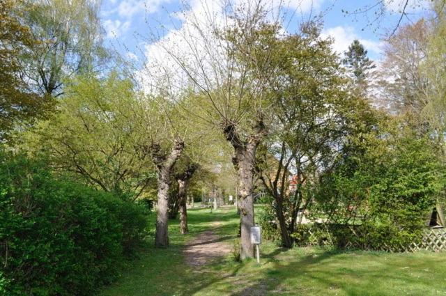 Ferienwohnung Suedpark 슈네베르딘겐 외부 사진